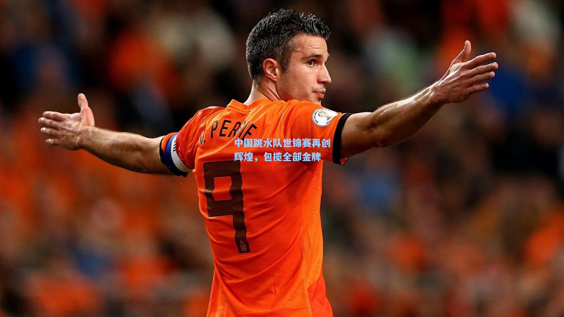 中国跳水队世锦赛再创辉煌，包揽全部金牌